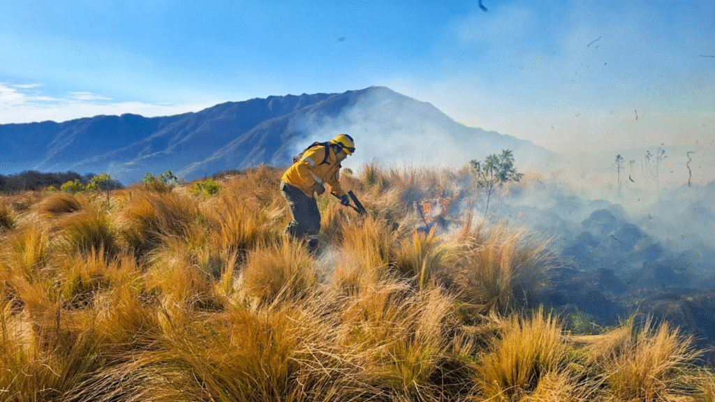 Incendios forestales en la provincia: focos activos