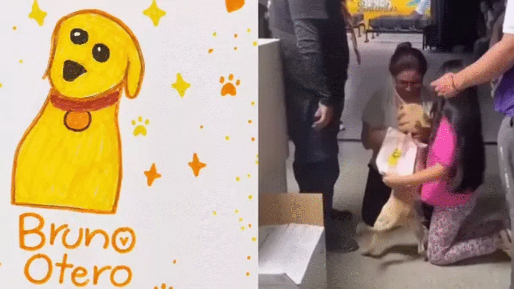Una niña buscó con un dibujo a su perro perdido por el terremoto en Colombia y se reencontraron