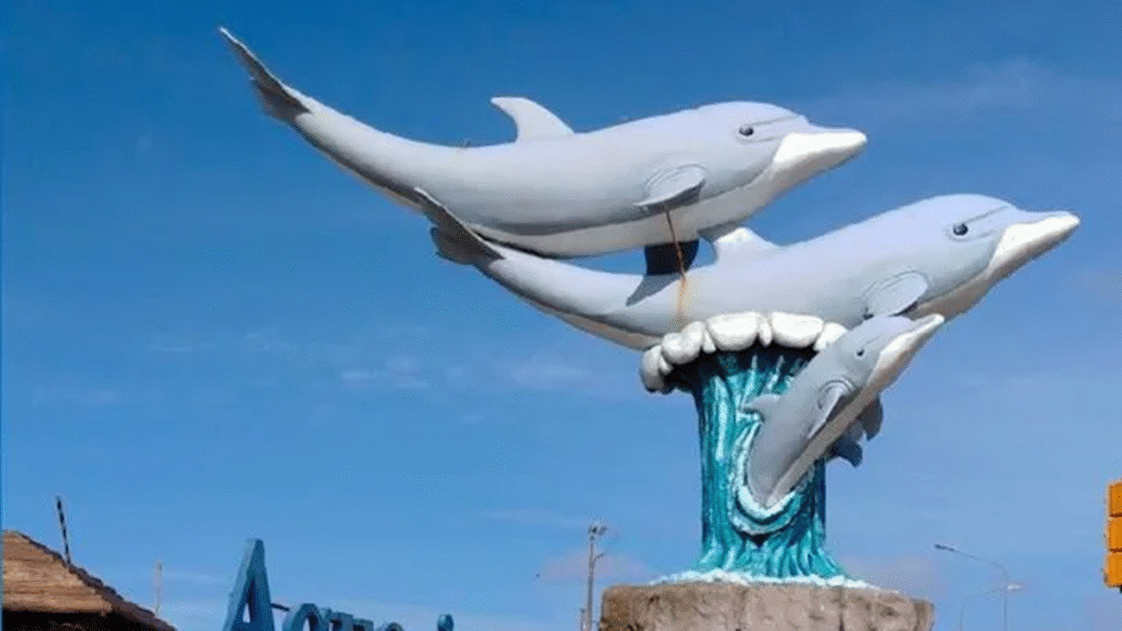 Cuatro pingüinos del ex Aquarium fueron valuados en US.000 en plena quiebra
