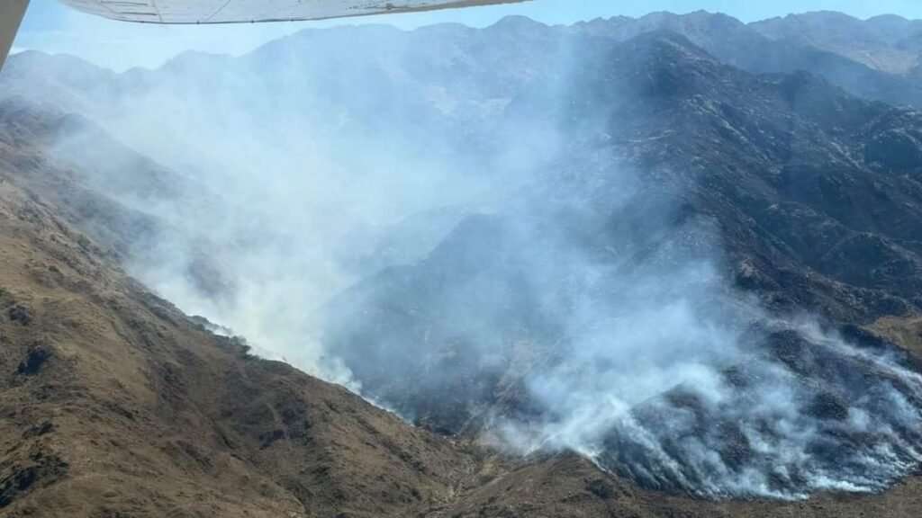 Tres focos siguen activos y ya son 272 los incendios este año