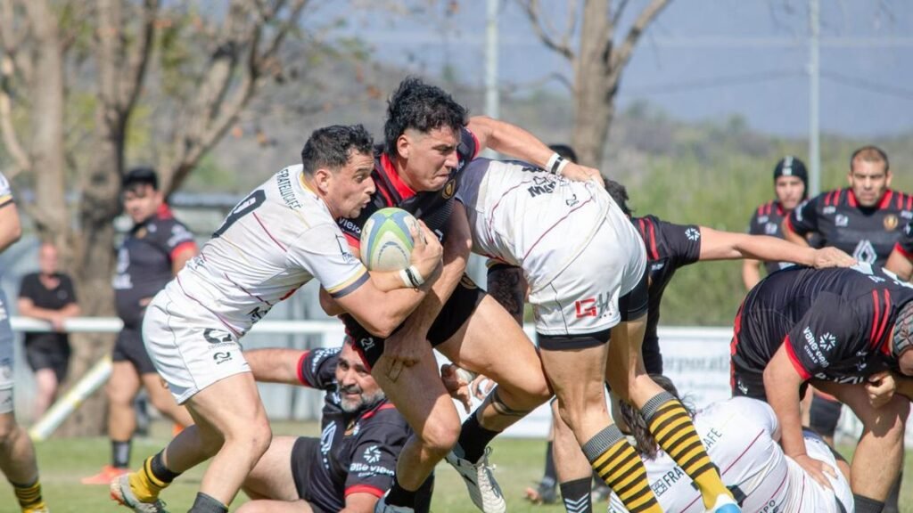 Los Hurones y  Los Teros a la final