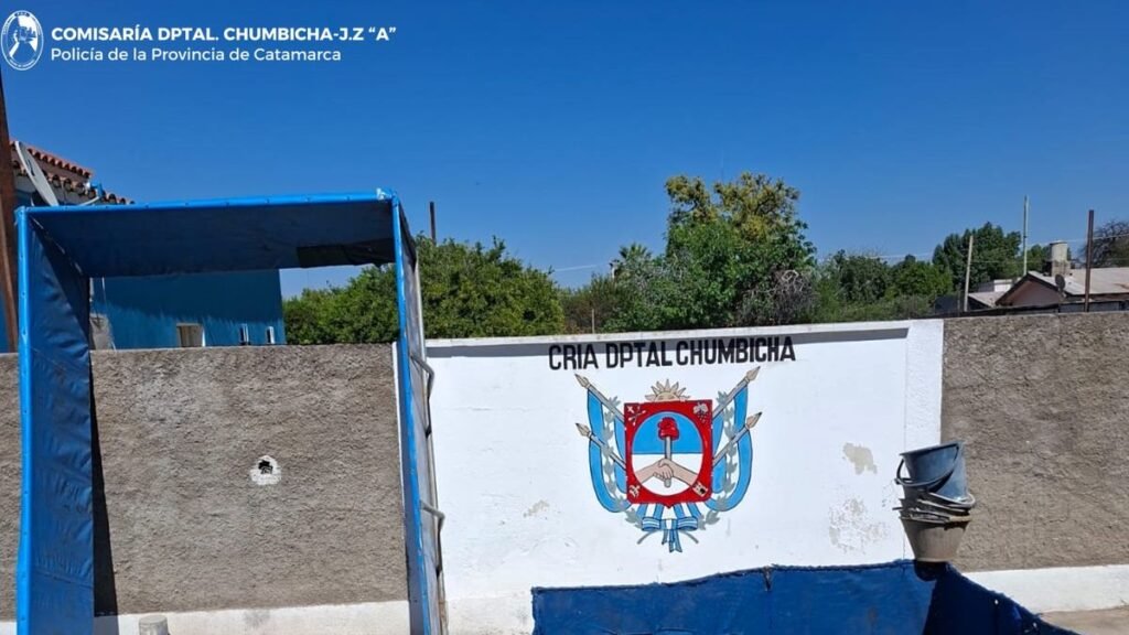 Investigan posibles riñas  de gallo clandestinas
