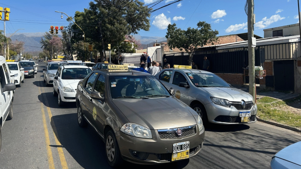 Taxistas y remiseros reclamaron mayores controles al transporte por aplicaciones
