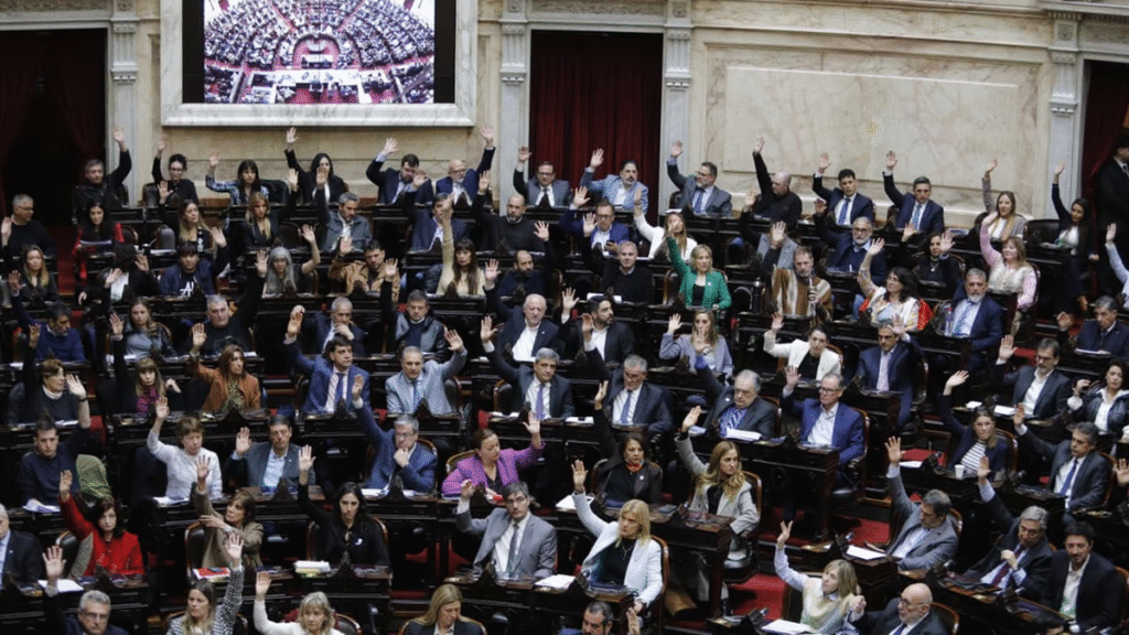 Diputados: la oposición logró impulsar el debate por endeudamiento y emergencia en Discapacidad