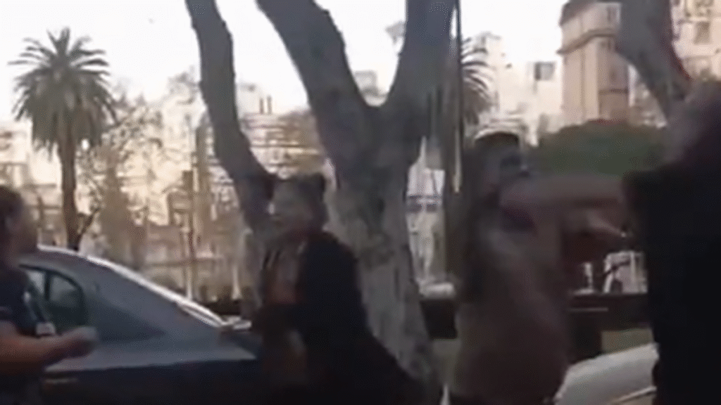 Video: una discusión de tránsito terminó con dos parejas peleando a golpes en Rosario