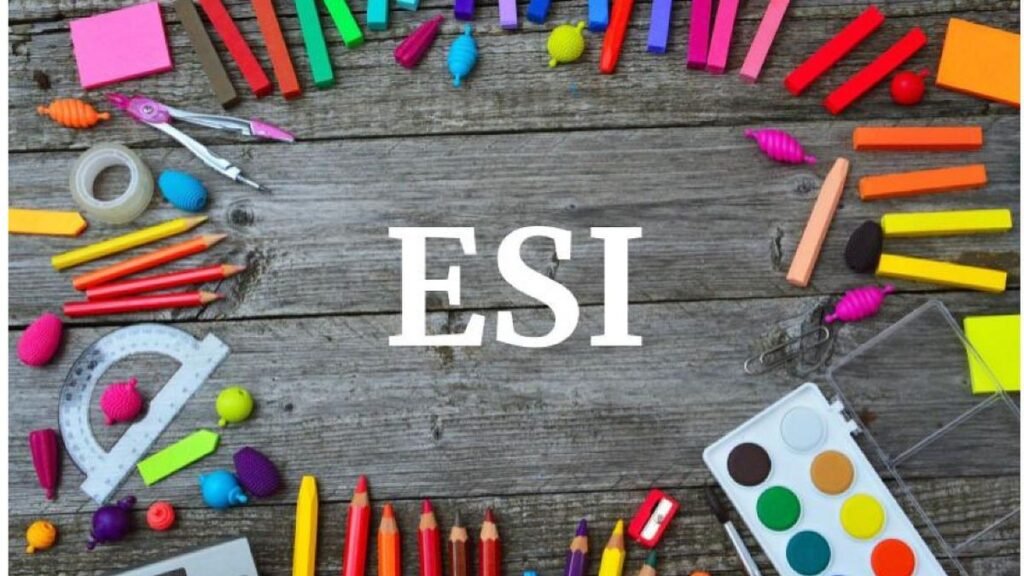 ESI: garantía de derechos