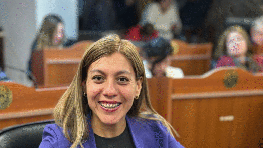 Stella Nieva: “El Gobierno nacional eligió un modelo antidemocrático e inconstitucional” Stella Nieva: “El Gobierno nacional eligió un modelo antidemocrático e inconstitucional”