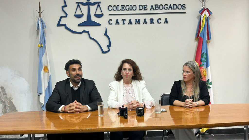 Video: Itatí Demarchi presentó su candidatura al Consejo de la Magistratura de la Nación Video: Itatí Demarchi presentó su candidatura al Consejo de la Magistratura de la Nación