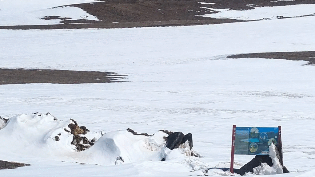 Cerraron el acceso al Balcón del Pissis por las nevadas